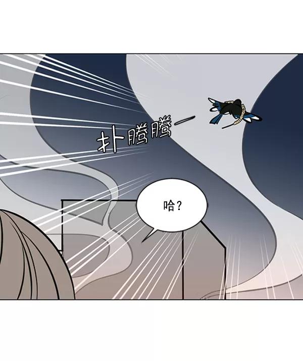 《小麻雀求婚记》第66话 第51页
