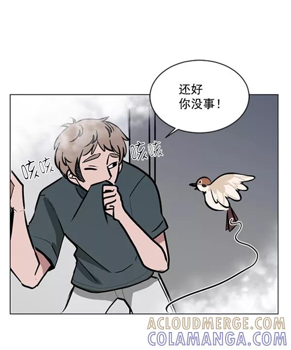 《小麻雀求婚记》第66话 第61页