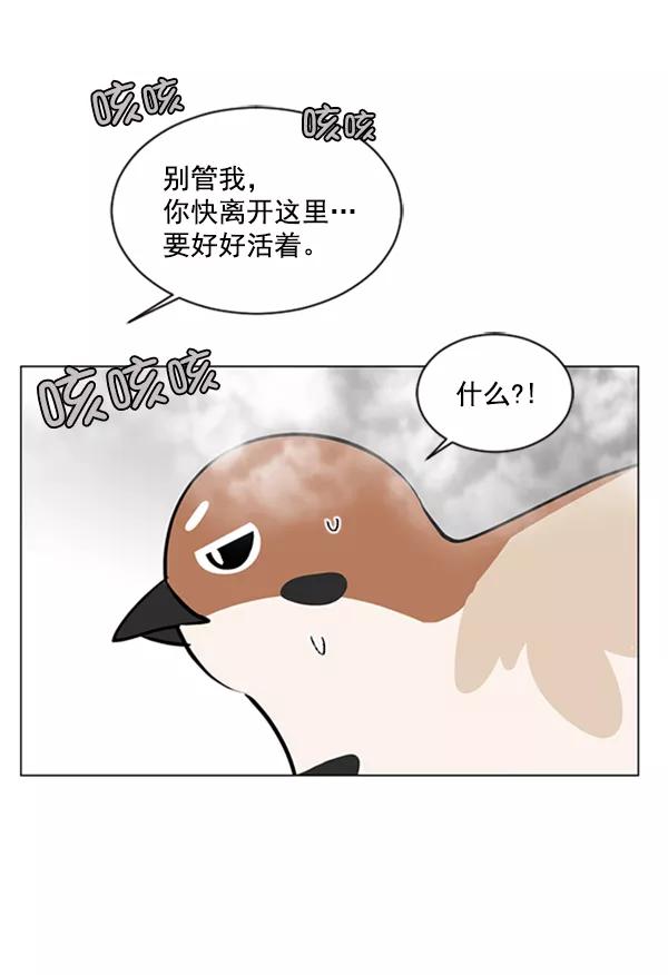《小麻雀求婚记》第66话 第62页