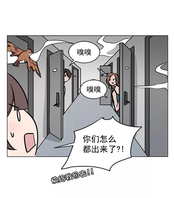 《小麻雀求婚记》第66话 第32页