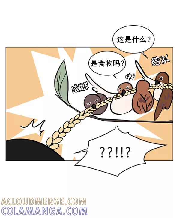 《小麻雀求婚记》第67话 第34页
