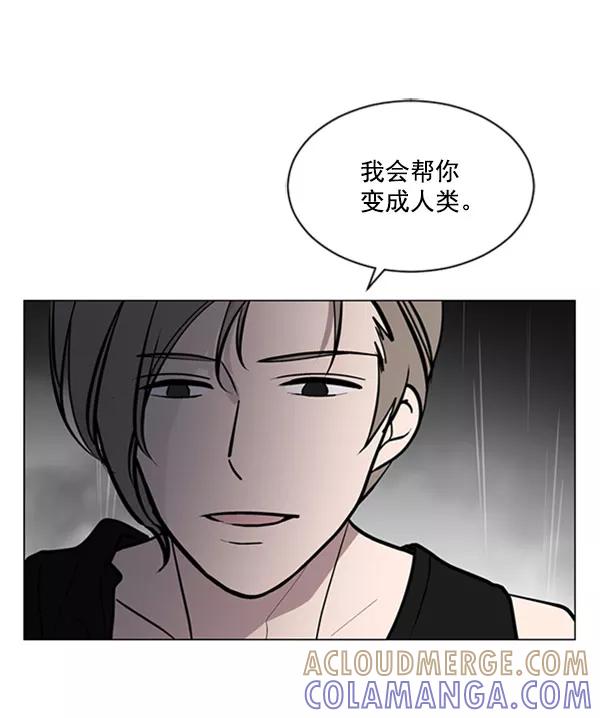 《小麻雀求婚记》第68话 第52页