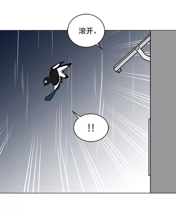 《小麻雀求婚记》第68话 第9页