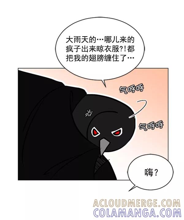 《小麻雀求婚记》第68话 第37页