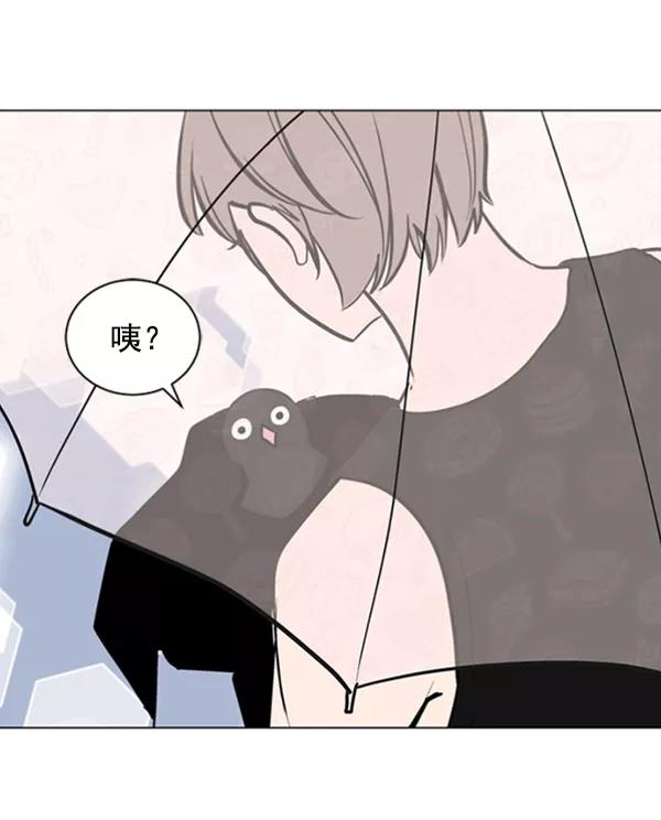 《小麻雀求婚记》第68话 第44页