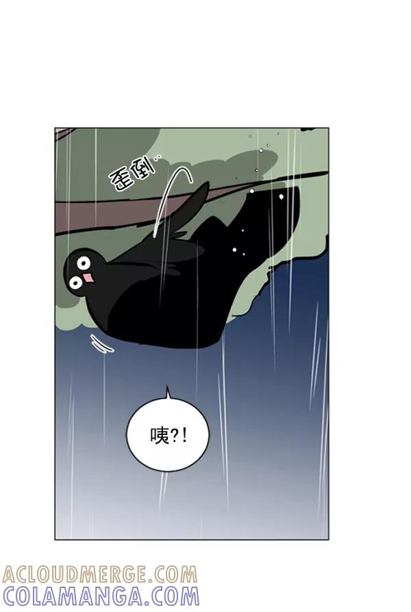 《小麻雀求婚记》第68话 第40页