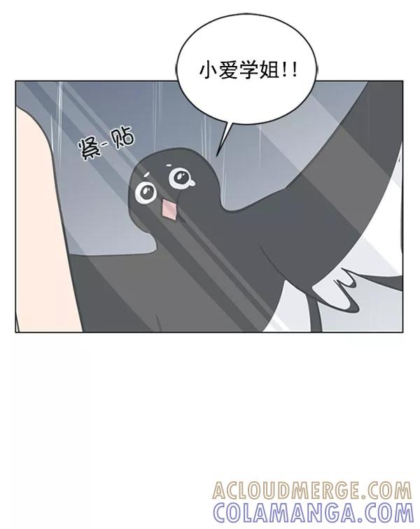 《小麻雀求婚记》第68话 第13页