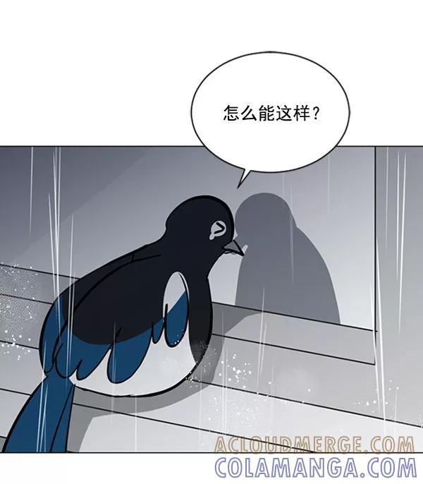 《小麻雀求婚记》第68话 第16页