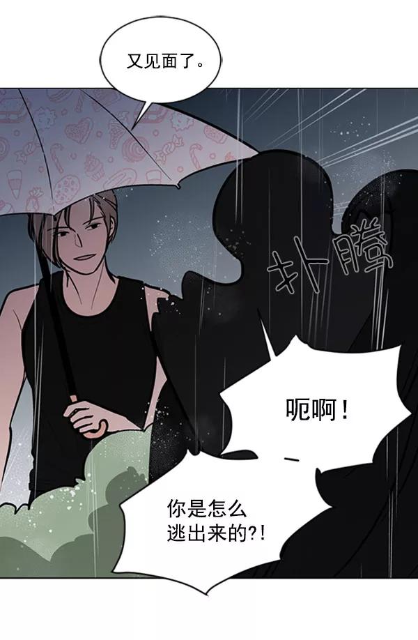 《小麻雀求婚记》第68话 第38页