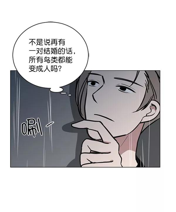 《小麻雀求婚记》第68话 第24页