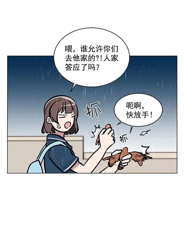 《小麻雀求婚记》第69话 第39页