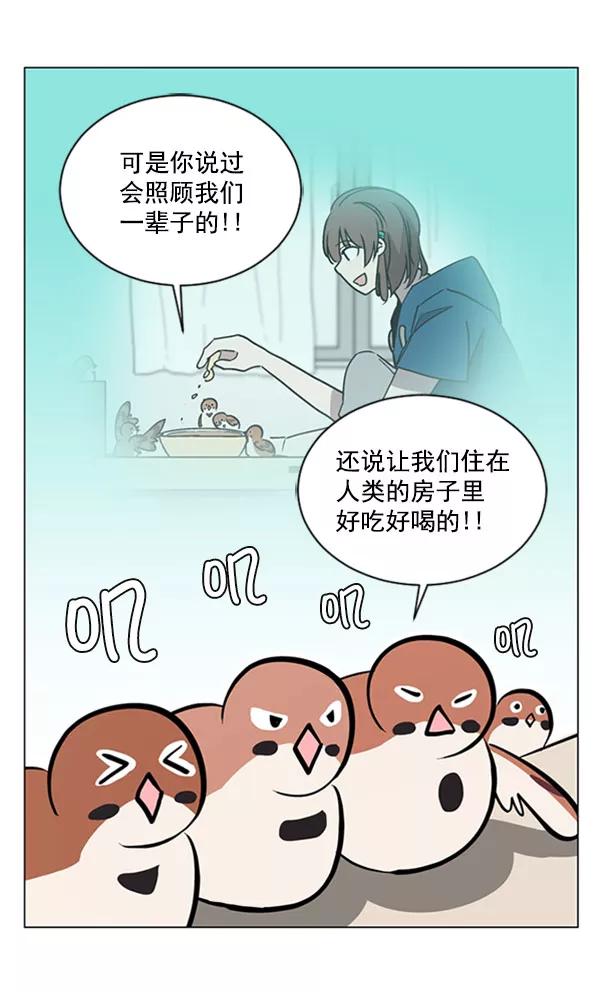 《小麻雀求婚记》第69话 第45页