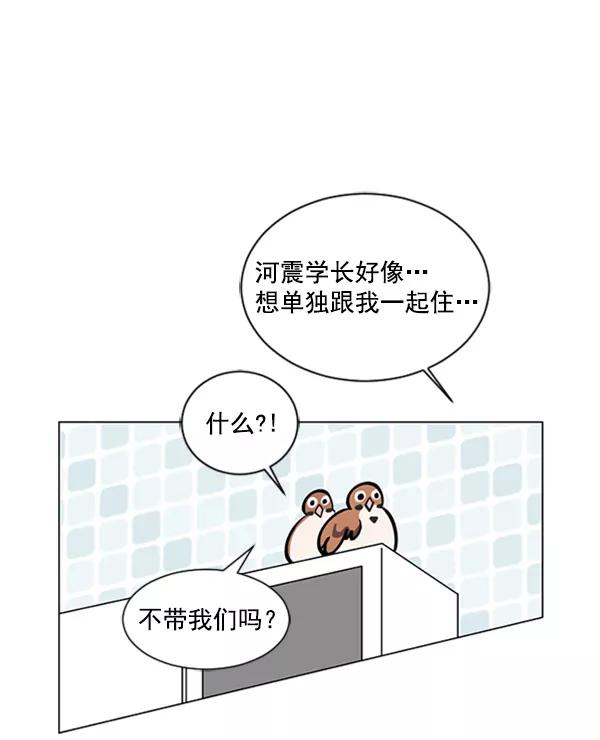 《小麻雀求婚记》第70话 第48页