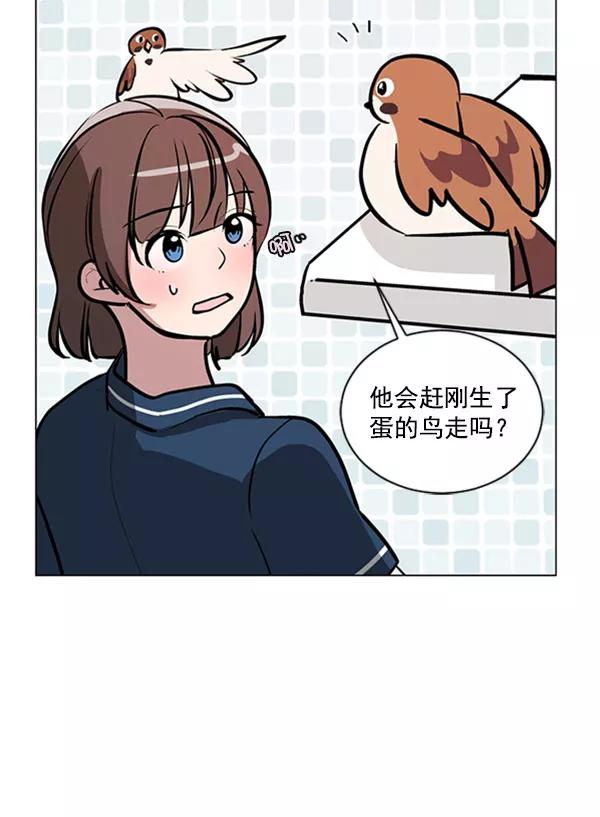《小麻雀求婚记》第70话 第56页