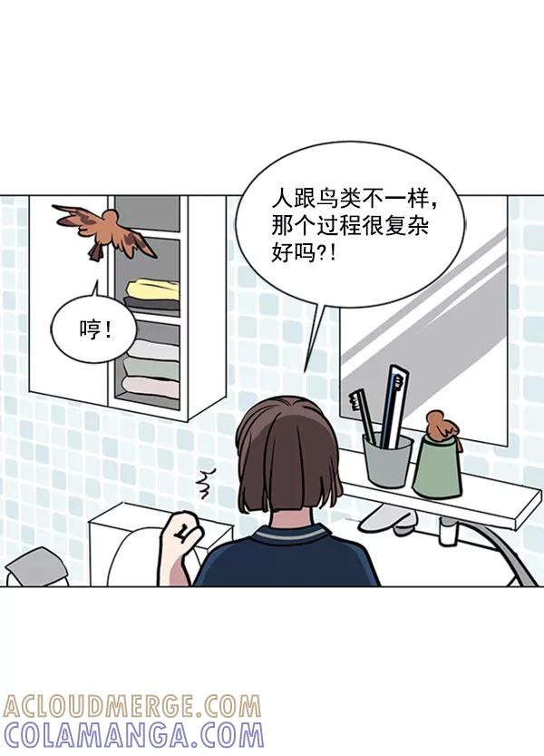 《小麻雀求婚记》第70话 第43页