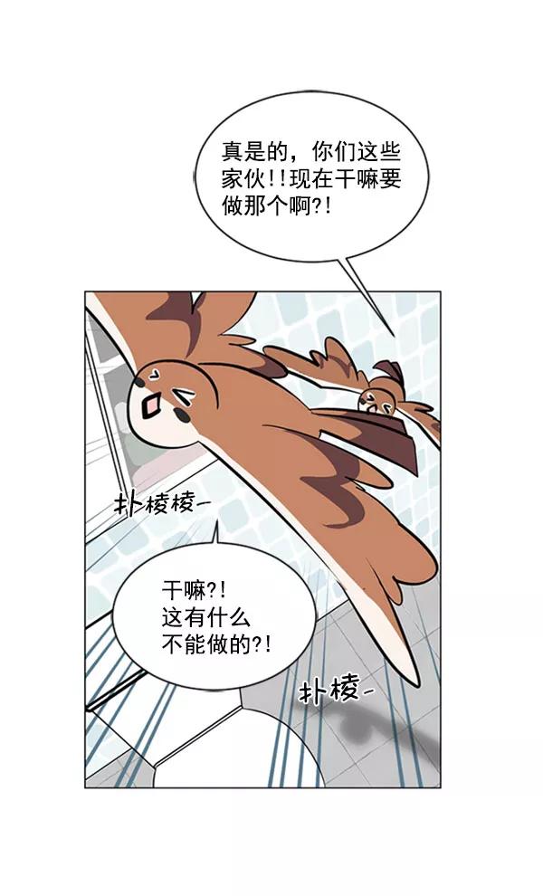 《小麻雀求婚记》第70话 第42页