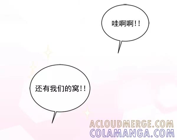 《小麻雀求婚记》第71话 第4页