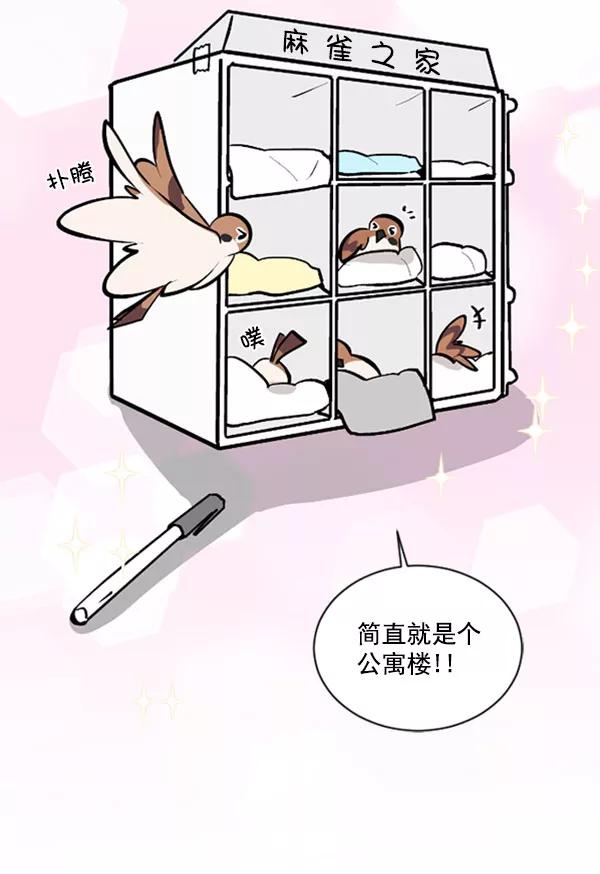 《小麻雀求婚记》第71话 第5页