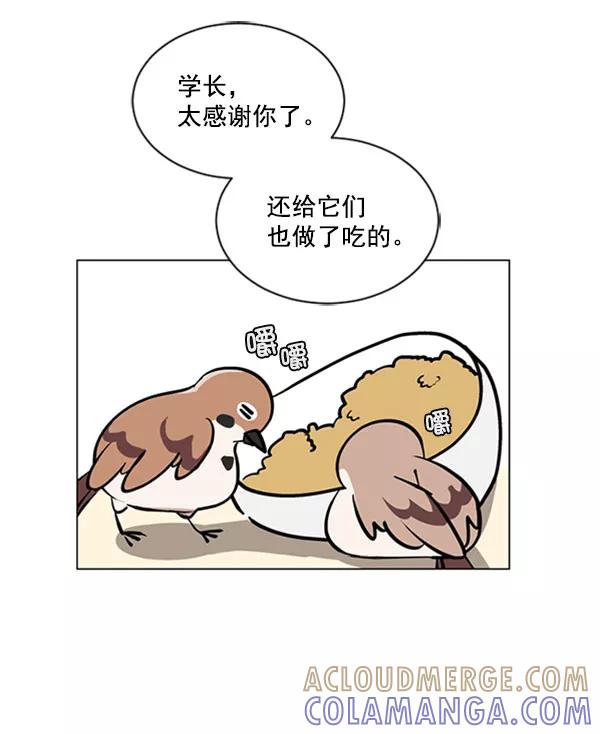 《小麻雀求婚记》第71话 第40页