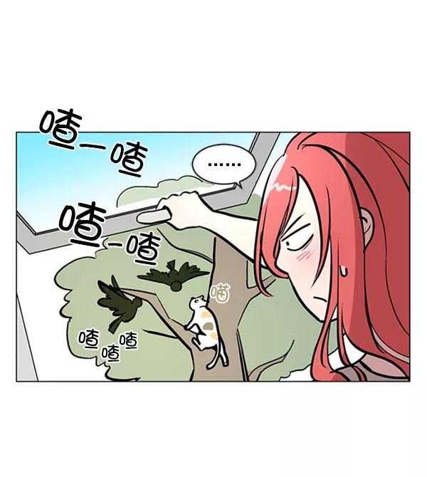 《小麻雀求婚记》第72话 第30页