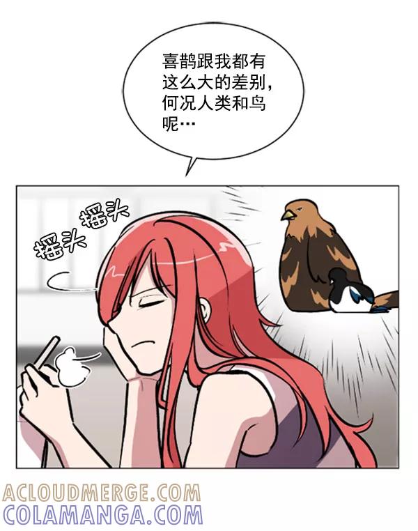 《小麻雀求婚记》第72话 第49页