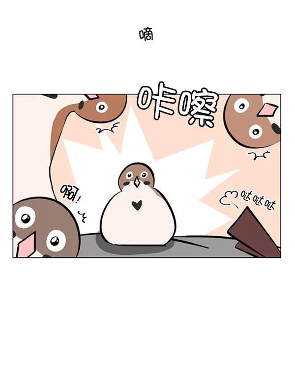 《小麻雀求婚记》第74话 第48页