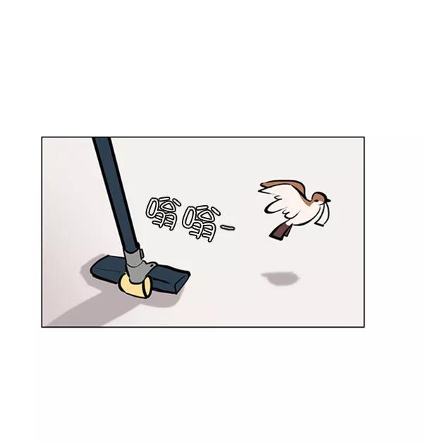 《小麻雀求婚记》第74话 第72页