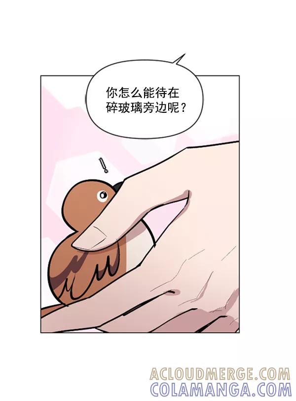 《小麻雀求婚记》第74话 第61页