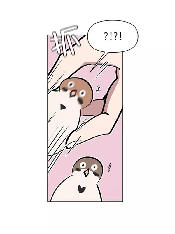 《小麻雀求婚记》第75话 第18页