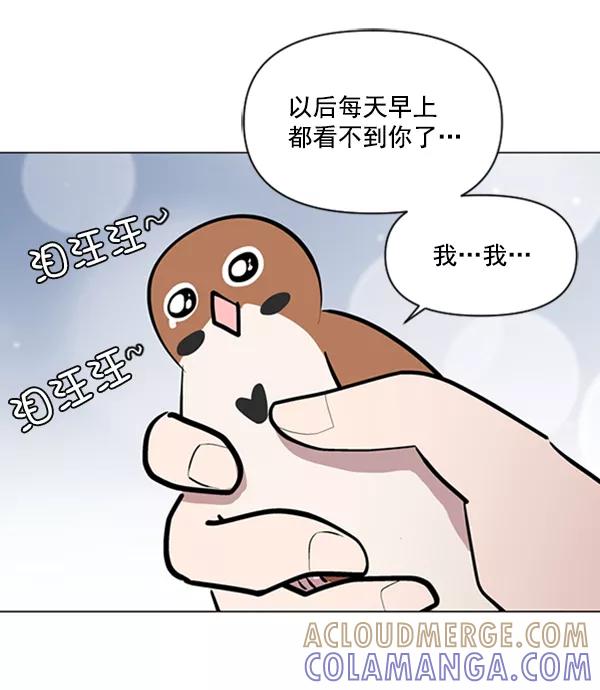 《小麻雀求婚记》第75话 第58页