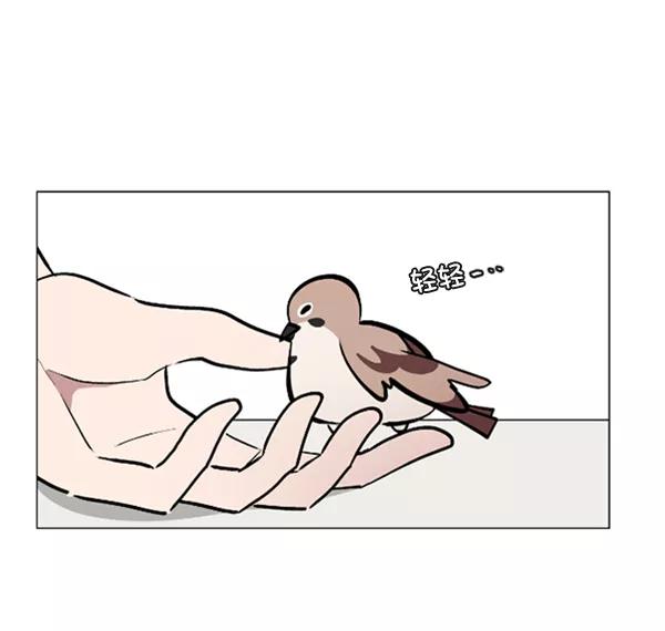 《小麻雀求婚记》第75话 第45页