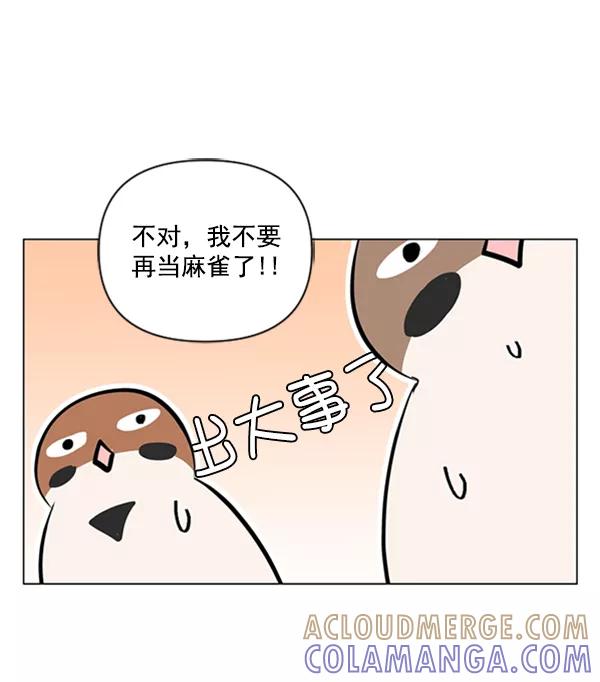 《小麻雀求婚记》第75话 第22页