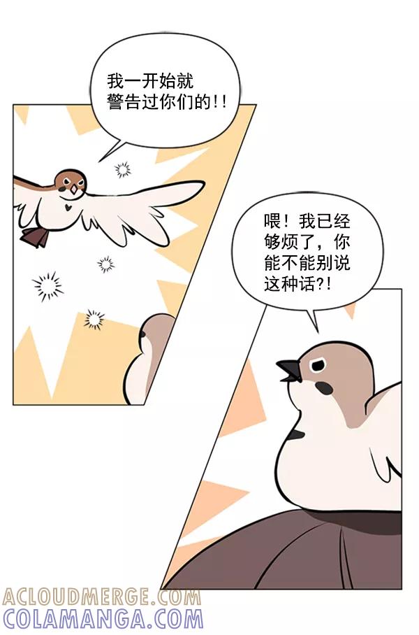 《小麻雀求婚记》第75话 第52页