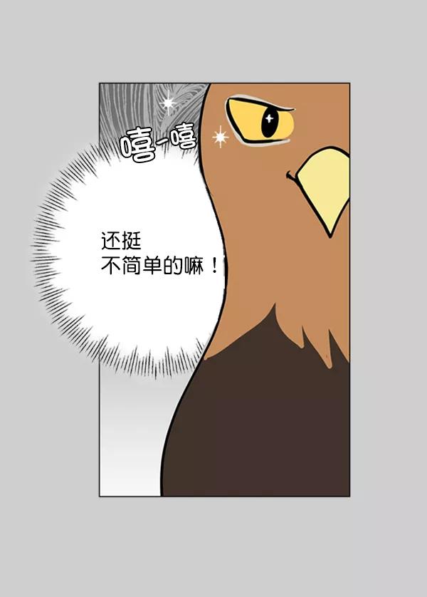 《小麻雀求婚记》第76话 第53页