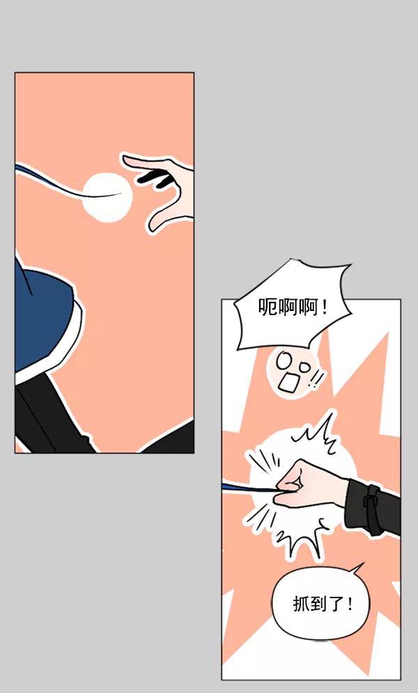 《小麻雀求婚记》第76话 第68页