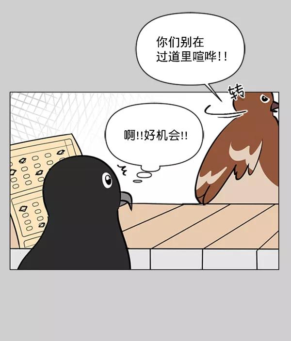 《小麻雀求婚记》第76话 第47页