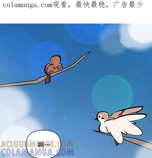 《小麻雀求婚记》第76话 第1页