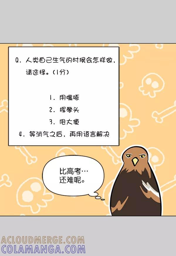 《小麻雀求婚记》第76话 第37页