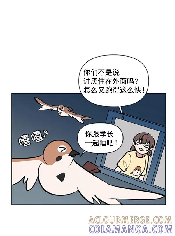 《小麻雀求婚记》第77话 第46页