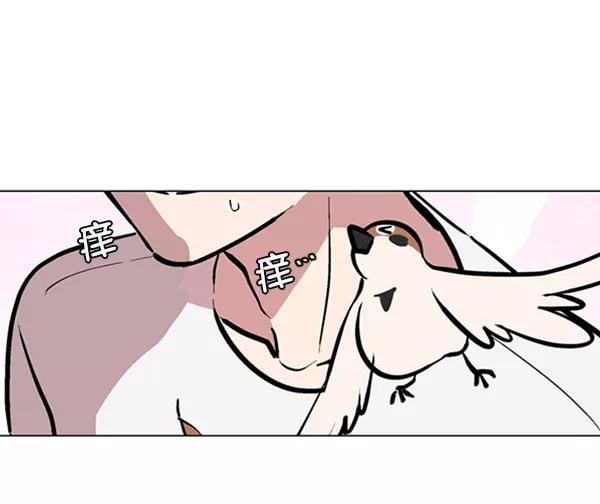 《小麻雀求婚记》第77话 第53页
