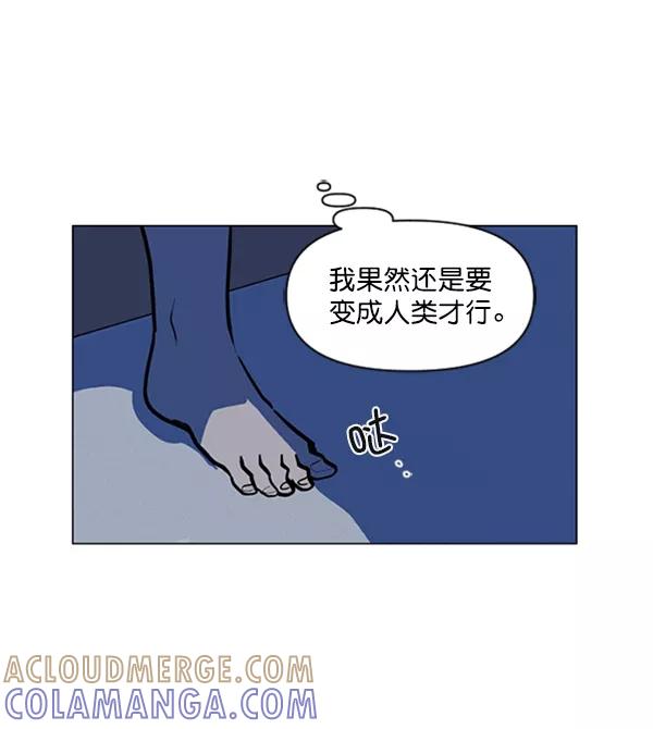 《小麻雀求婚记》第77话 第31页