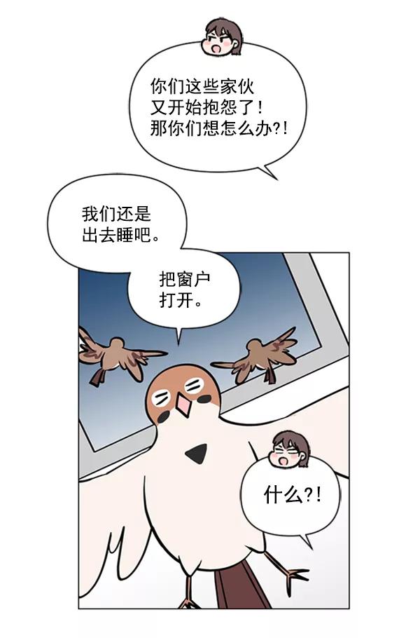 《小麻雀求婚记》第77话 第44页