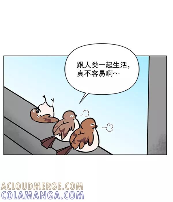 《小麻雀求婚记》第78话 第19页