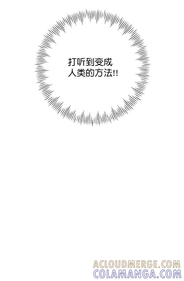 《小麻雀求婚记》第78话 第31页