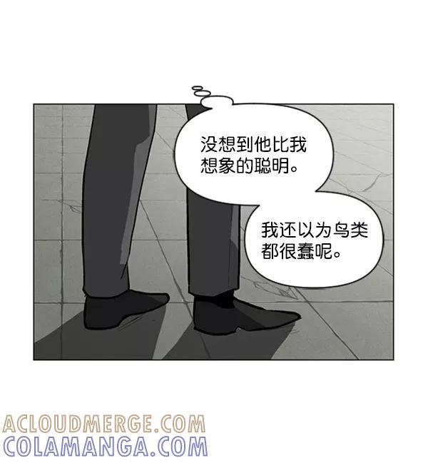 《小麻雀求婚记》第79话 第49页