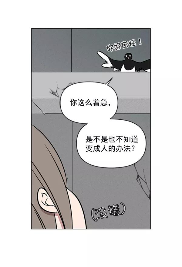 《小麻雀求婚记》第79话 第47页
