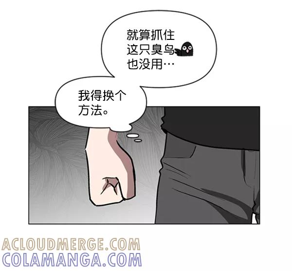《小麻雀求婚记》第79话 第55页