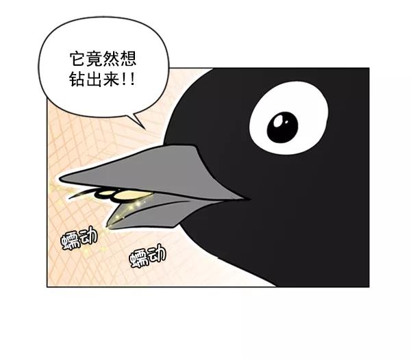 《小麻雀求婚记》第80话 第60页