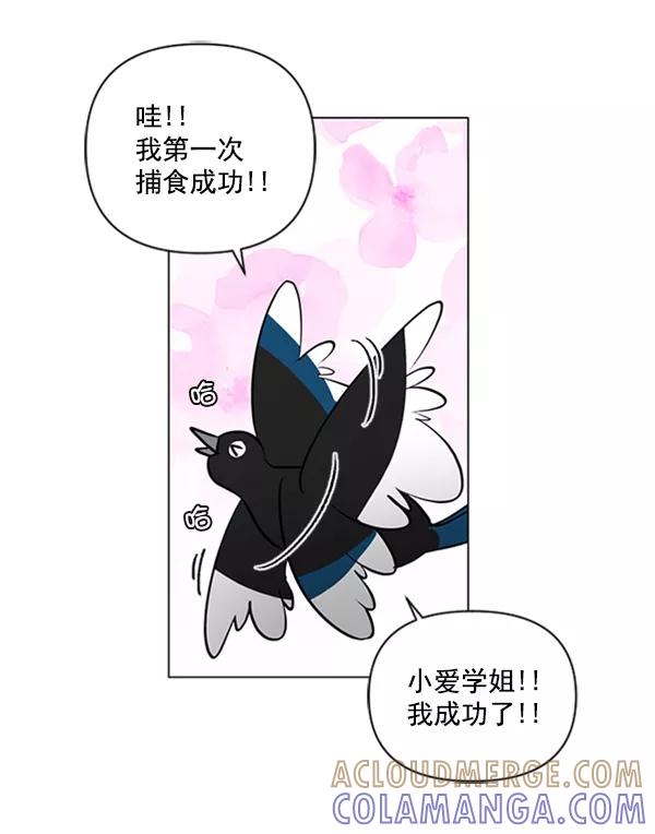 《小麻雀求婚记》第80话 第58页