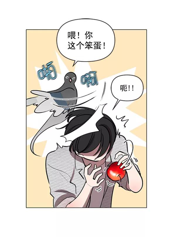 《小麻雀求婚记》第80话 第6页